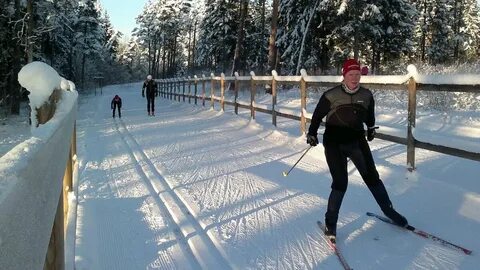 Лыжные трассы для беговых
