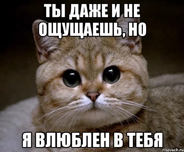 Наверно просто в тебя влюблен