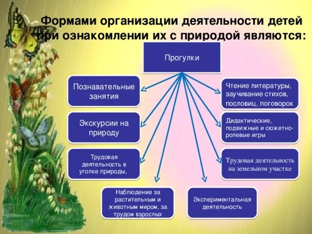 Природа образовательного процесса