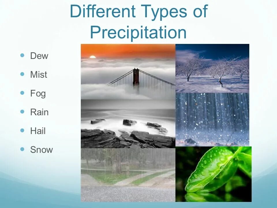 Mist fog отличие. Fog mist smog разница. Трава небо туман. Mist fog разница. Mist fog разница.