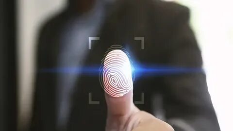Fingerprint system