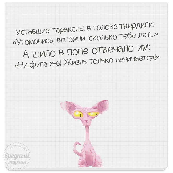 Шило в одном месте