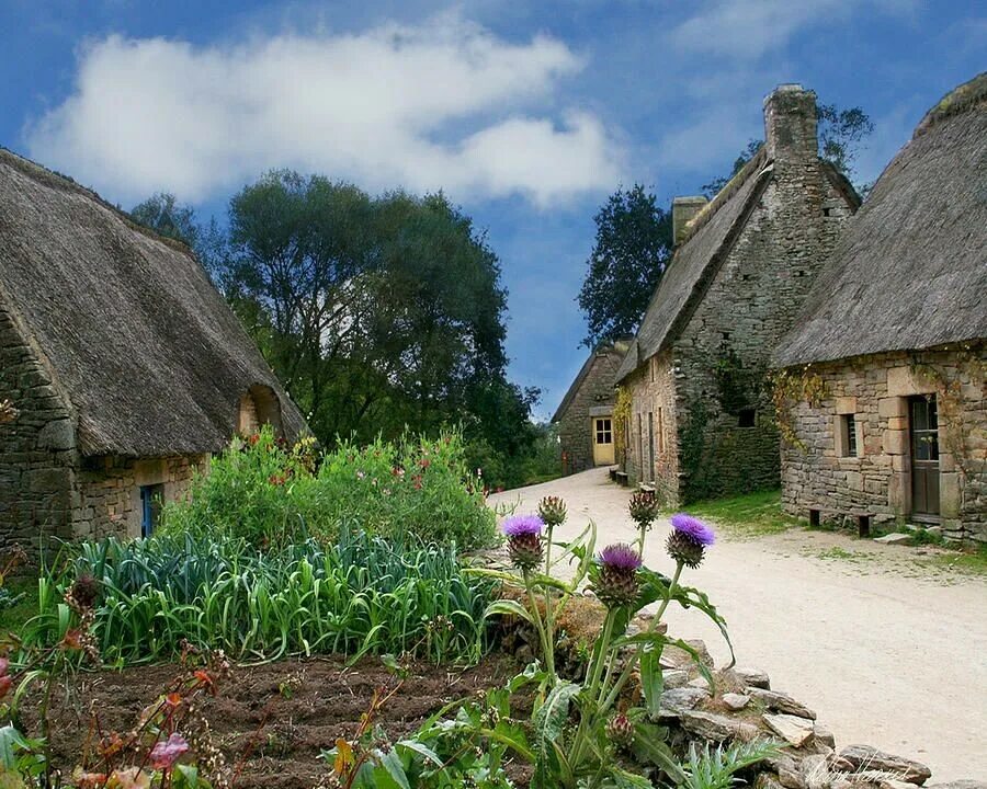 Medieval village. Медивал Виллаге. Средневековая деревня Косместон. Средневековая деревня Уэллс. Деревни Бретани.