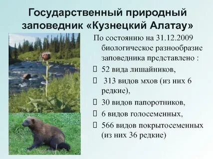 Что охраняется в заповеднике