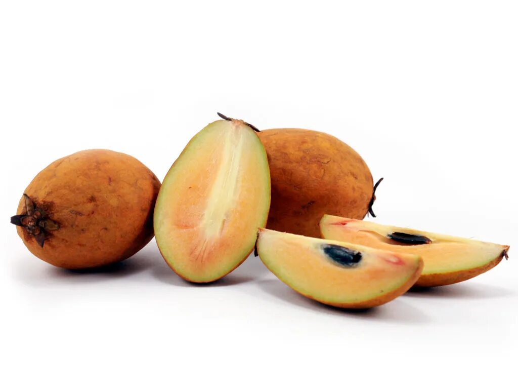 Саподилла фрукт. Саподила. Саподилла дерево. Саподилла растение. Древесный картофель саподилла.