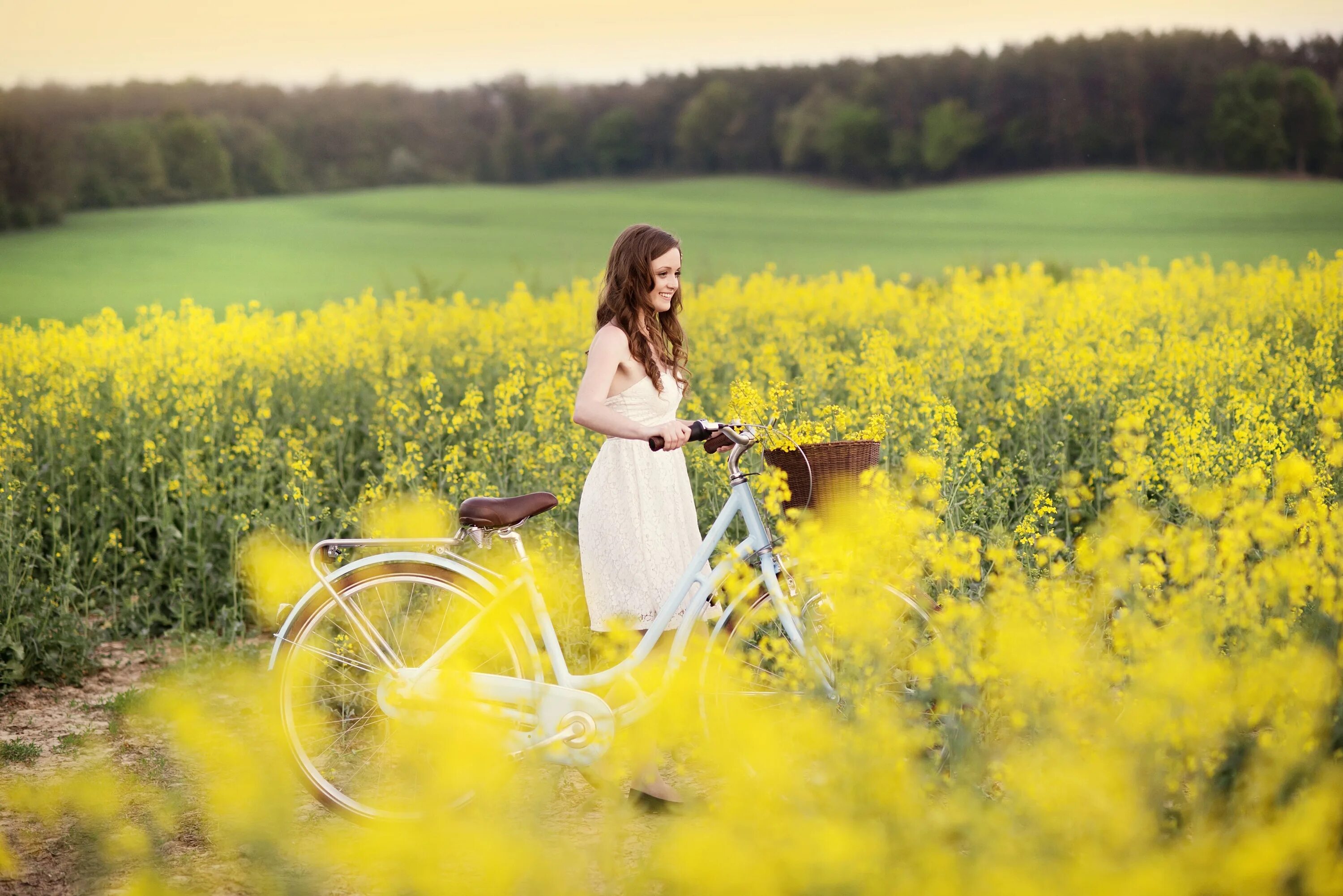 Девушка лето. Велосипед для девочки. Девушка на велосипеде. Девушка в поле. Цвета вызывающие радость