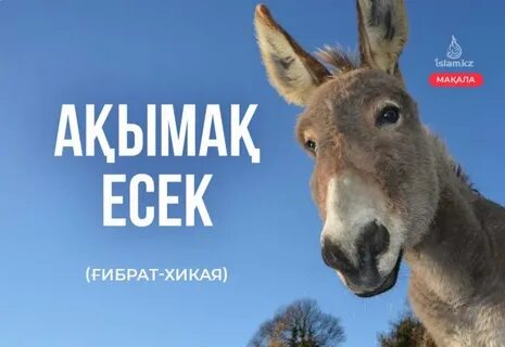 Ескі әже лесбиянка порно