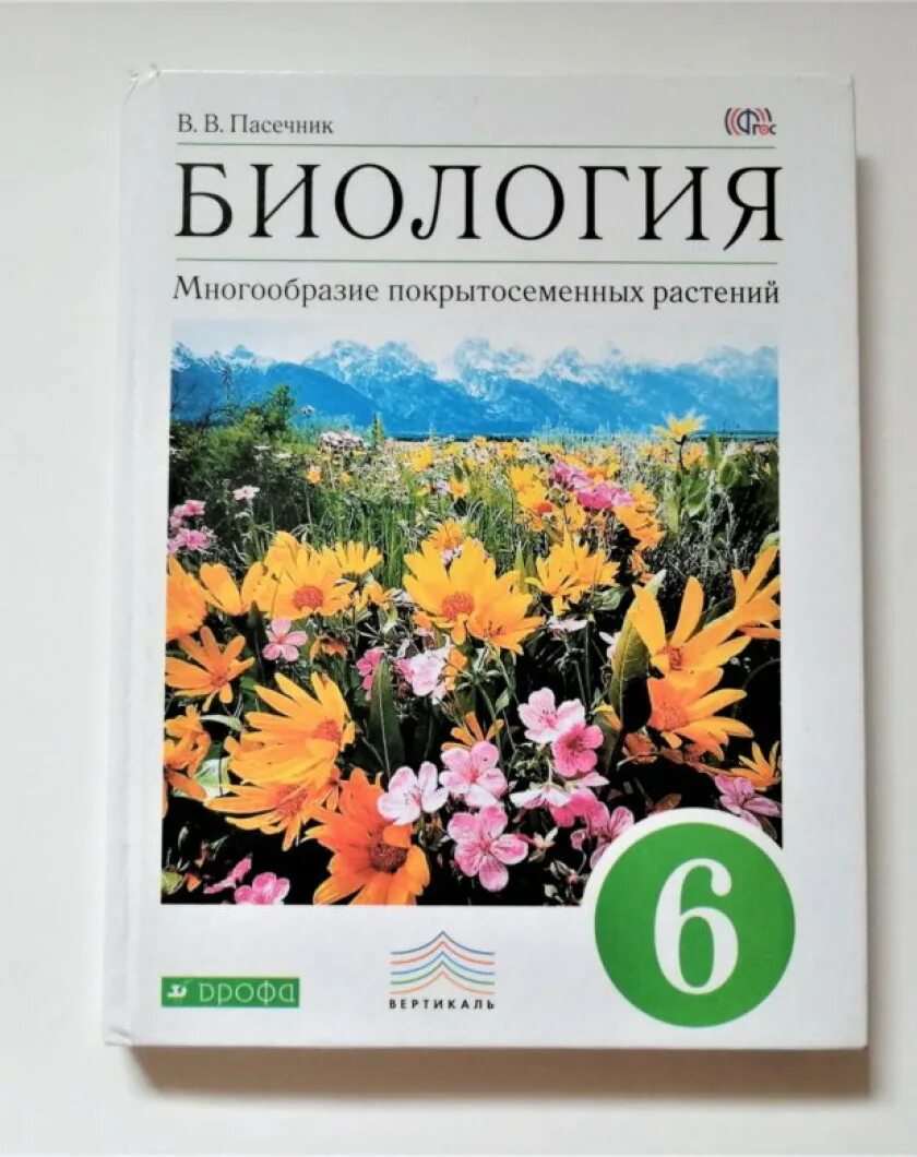 Биология 6 класс учебник пасечник 22 параграф. Пасечник в. в. биология. 6 Класс // Дрофа.. Пасечник 6 класс. Биология 6 класс Пасечник. 6 Класс Пасечник в.в. «биология. Многообразие растений»;.