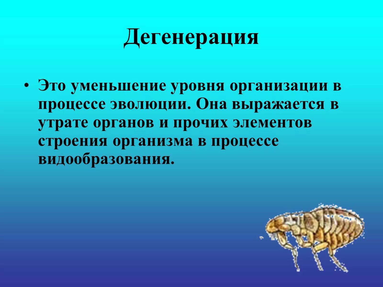 Некоторые эволюционные изменения приводят. Дегенерация. Общая дегенерация это в биологии. Биологическая дегенерация. Дегенерация в эволюции.