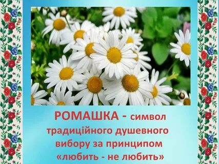 Ромашка какой символ