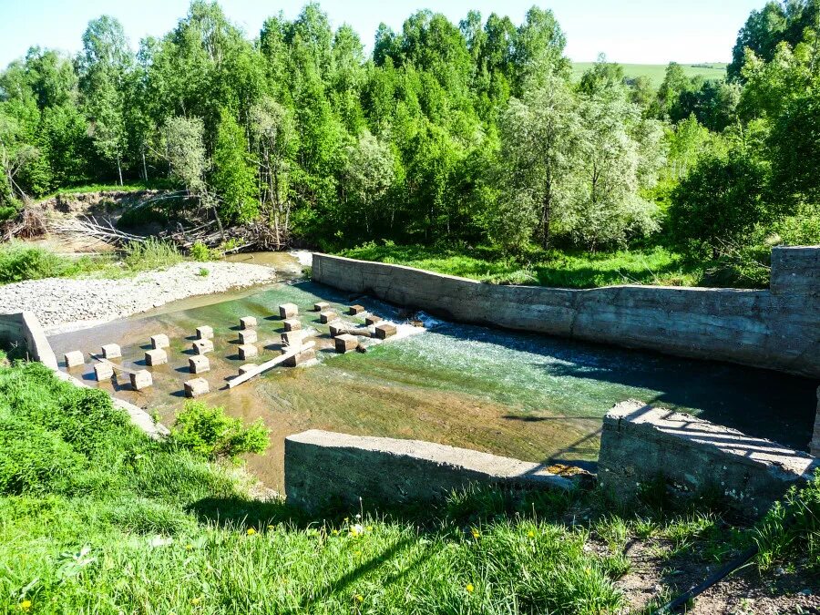 Погода в новозыково красногорского района. Киреево Алтайский край. Озеро Киреево Красногорский район. Киреево озеро Алтайский край. Новозыково озеро Киреево Алтайский.