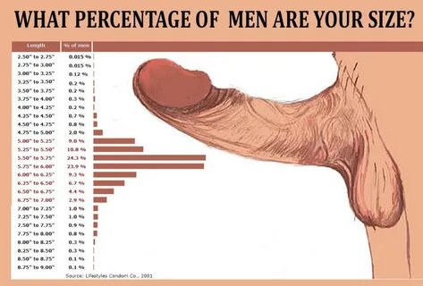 Pictures of average size penis - 🧡 Average Size Of Penis When Cold. 