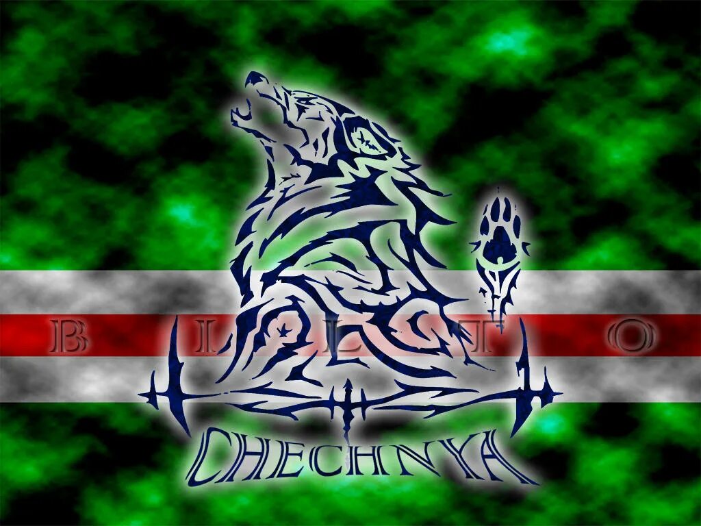 Борз ю