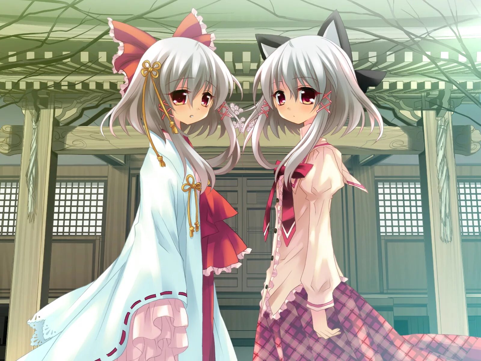 Twins animation