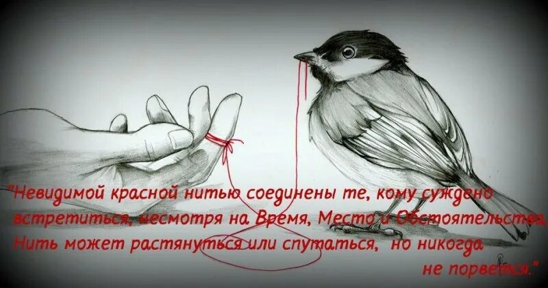 Кусок нитки. Нить сути. Связанные красной нитью. Соединены красной нитью. Будете нить это.