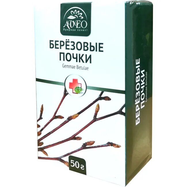 Лечение березовыми почками