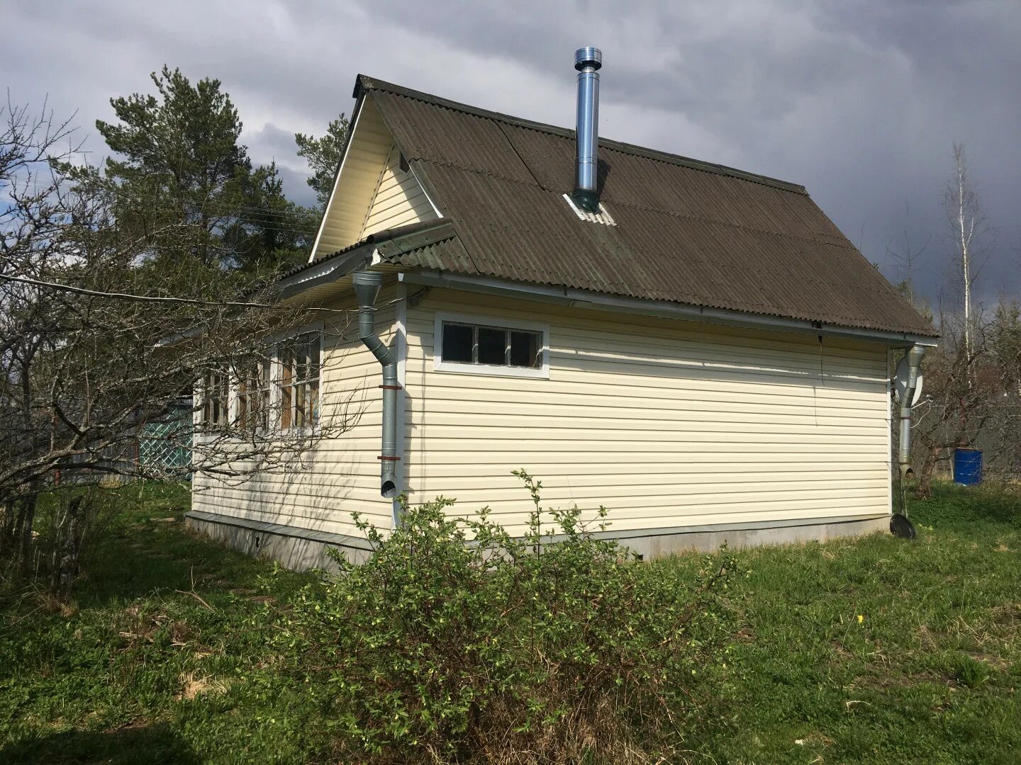 дача в чаще. дача в чаще. чаща гатчинский район. симанково гатчинский район. садоводство парус чаща.