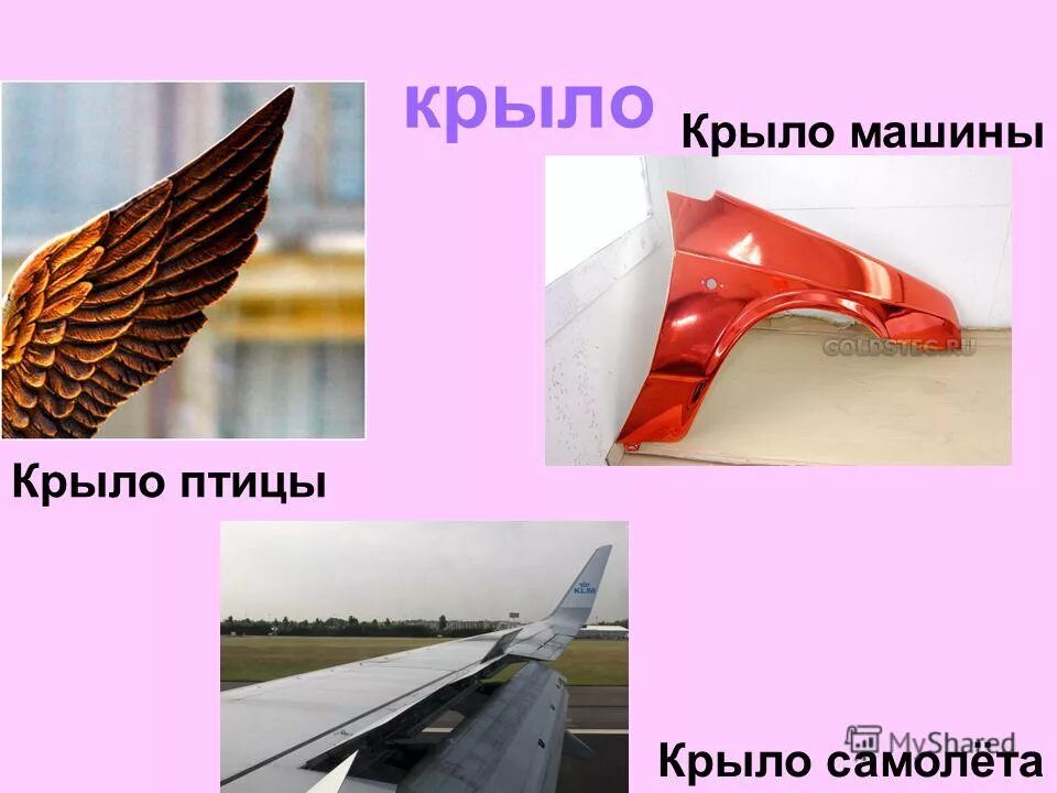 хвост многозначное слово. многозначность слова нос в картинках. многозначные слова. лексическая тема воздушный транспорт. крыло многозначное слово.