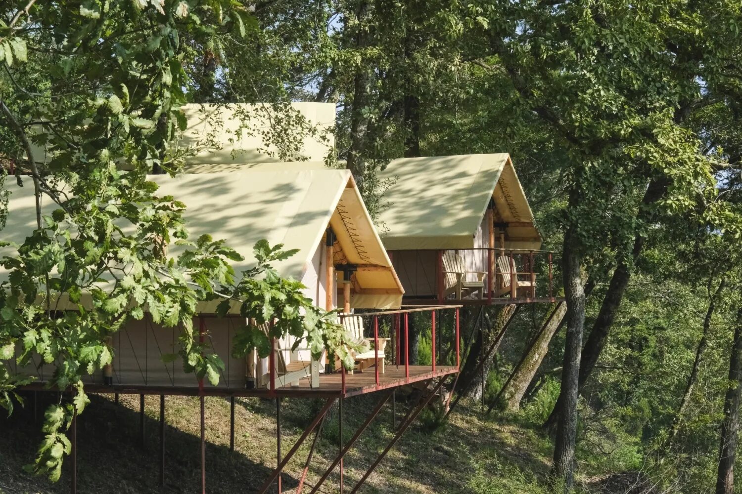 Garuda glamping abkhazia. Гаруда глэмпинг Абхазия. Glamping Garuda Абхазия отель. Гаруда кемпинг Абхазия. Глэмпинг "Garuda" в Абхазии.