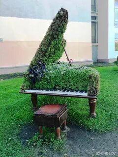 Рояль в кустах