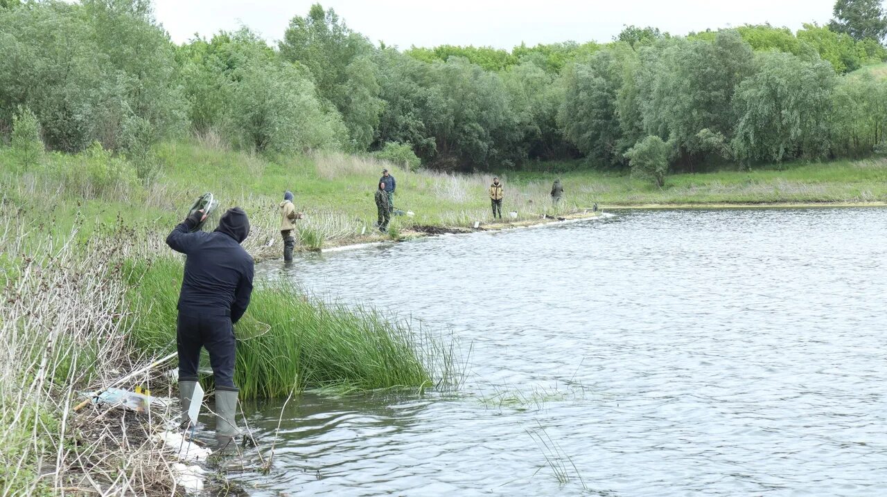 Уровень воды в хопре на сегодня балашов. Рыбалка в Балашове. Загрязненный Хопер. Рыбалка на Хопре Балашов. Хопер Балашов 2019.