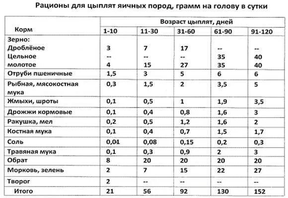 С какого возраста бройлерам. Нормы кормления цыплят кур несушек. Таблица состава комбикорма для несушек. Таблица кормления цыплят несушек в домашних условиях. Нормы кормления цыплят бройлеров.