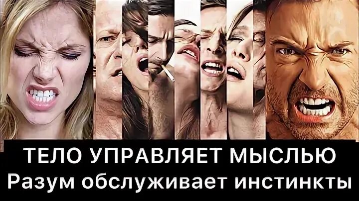 Инстинкты видео