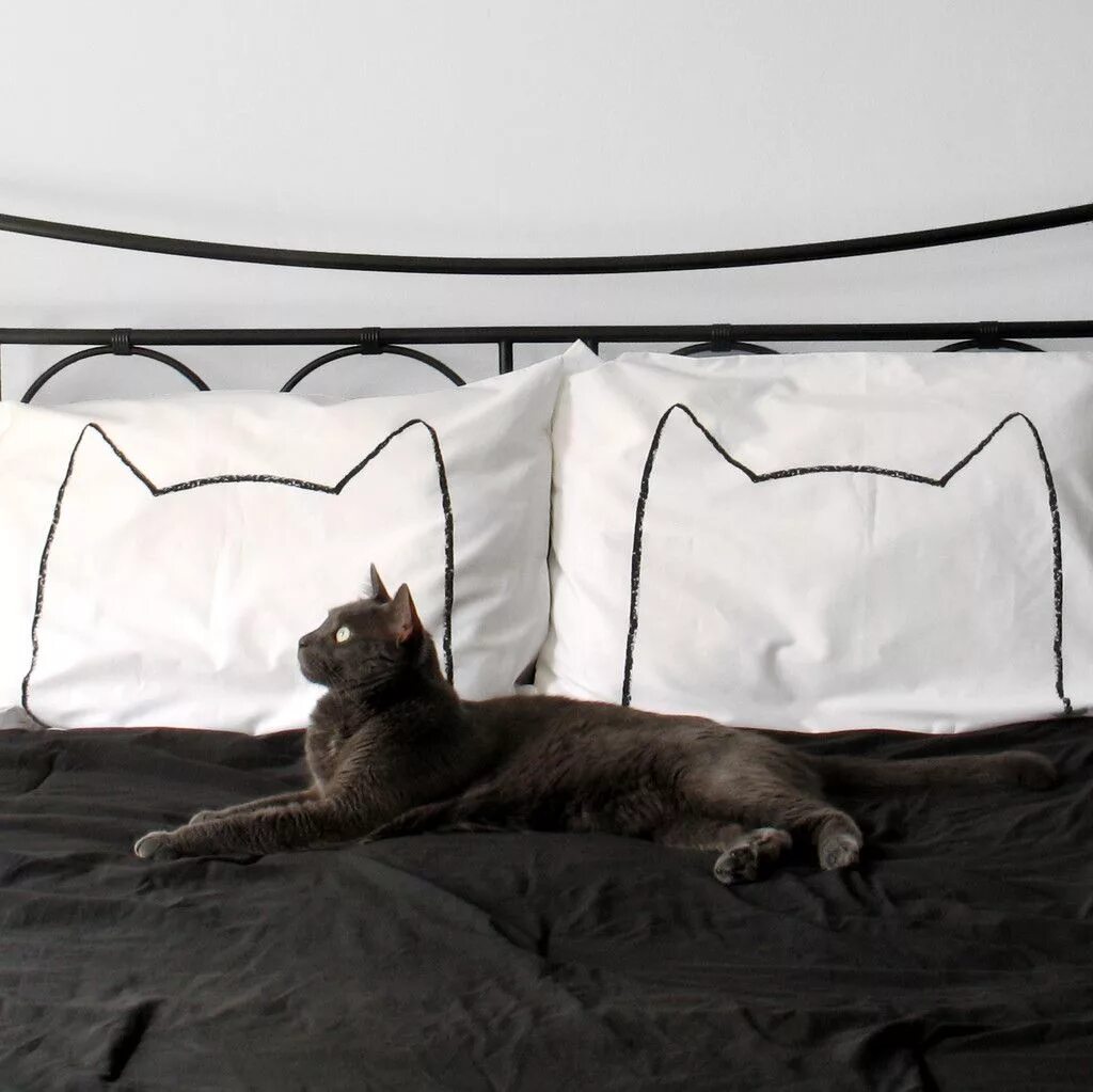 Кэт нап кот. Кошка Catnap. Catnap подушка. Cat nap оригинальный дизайн. Cat nap игрушка.