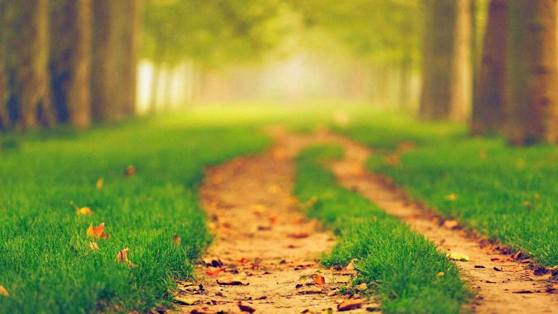 Path day
