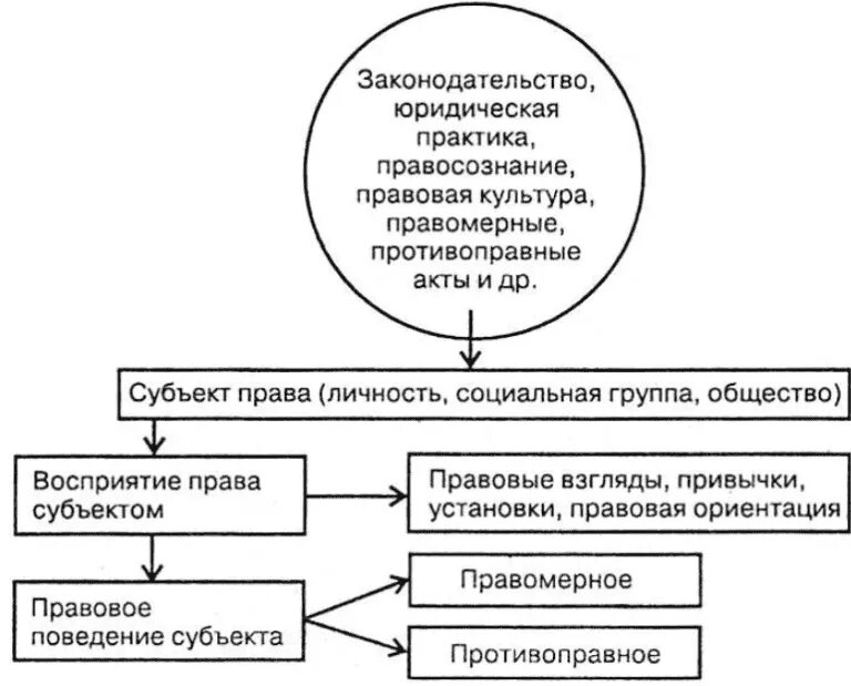 Юридическая практика функции. Субъекты законодательной практики. Законопроект в записке. Субъекты законодательной практики. Субъекты законодательной практики.