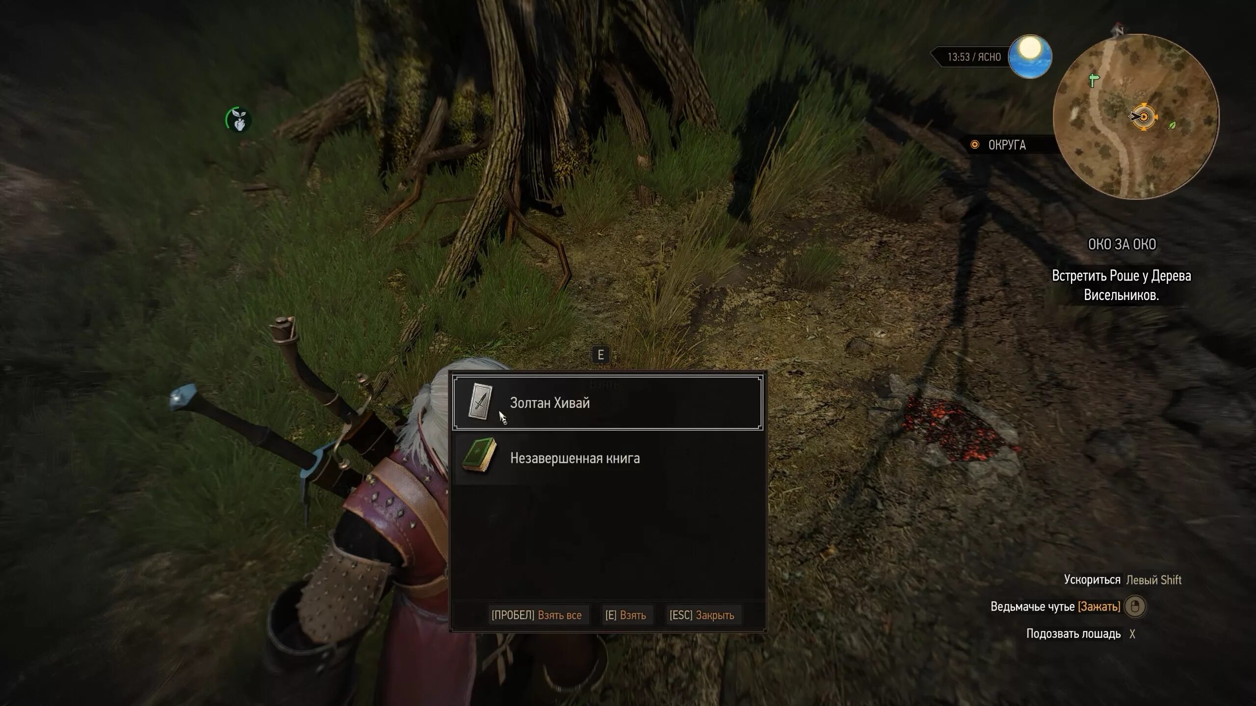 Лагерь скоя'таэлей ведьмак 3. Лагерь партизан ведьмак 3. Ласточка ведьмак эликсир. Последний бастион ведьмак 3. Ведьмак 3 где найти роше.