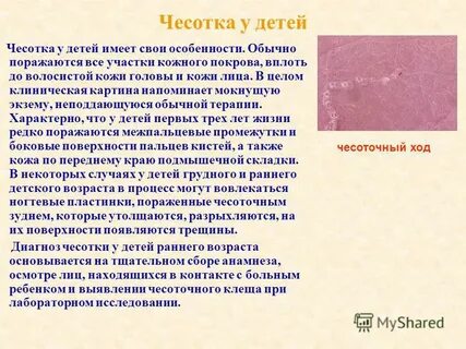 Чесотка как лечить