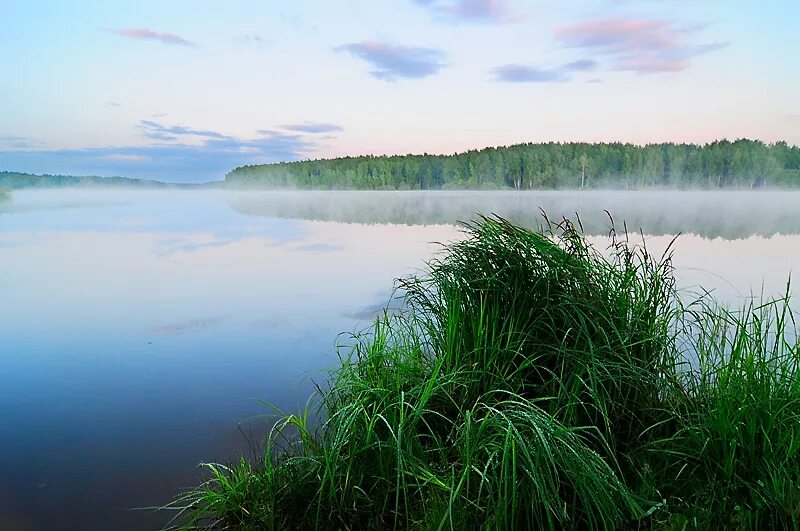 Кубинское озеро. Озеро Кубинка. Портновка озеро Кубинка. Озеро Кубинка Нахабино. Кубинское озеро Вологодская область.