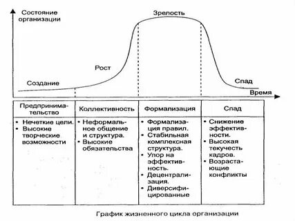 Жизненный цикл организационных структур