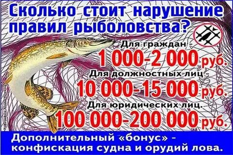 Какой штраф за рыболовные сети