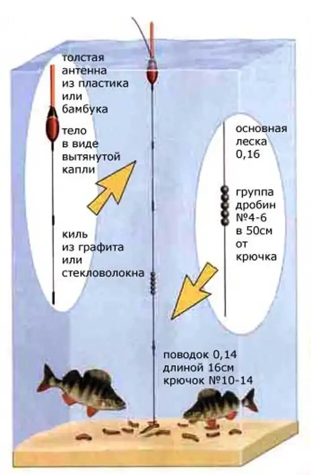 Поплавочные снасти для береговой ловли. Ловля карпа, леща, толстолобика, белого 