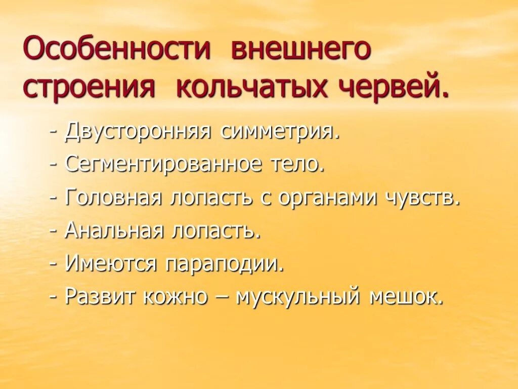 Дать характеристику кольчатым червям. Особенности строения червей. Особенности внешнего строения червей. Особенности строения кольчатых червей. Особенности внешнего строения кольчатых червей.