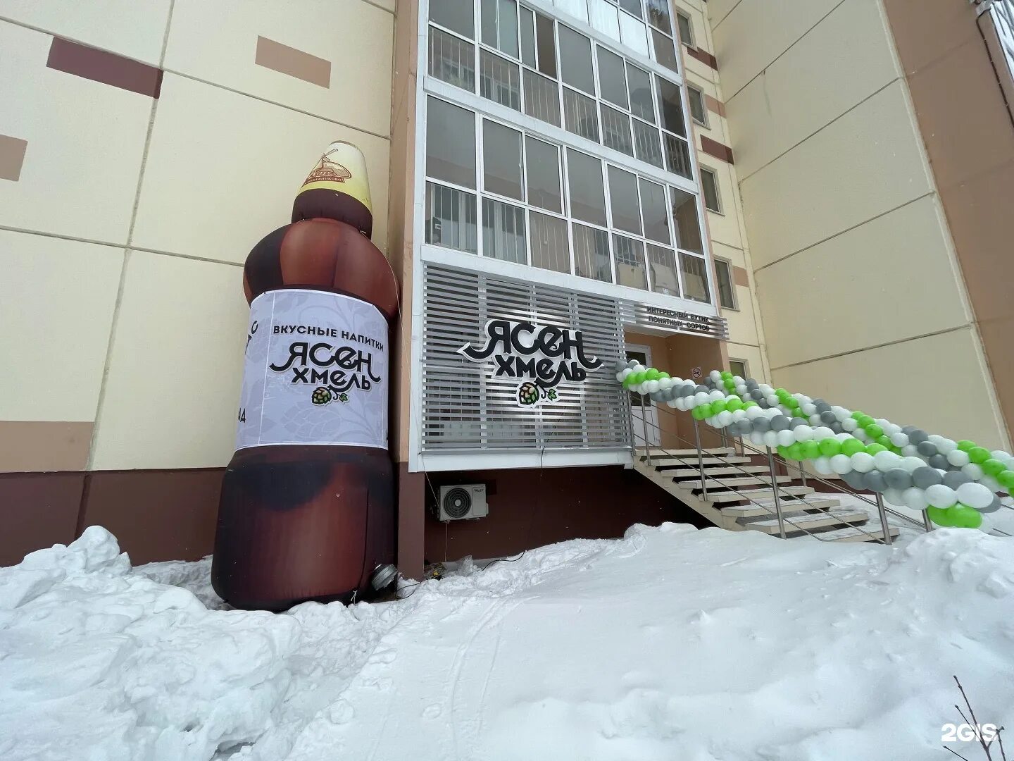 Хмель заготовка. Хмель и солод пиво. Хмель обыкновенный высота. Ясен хмель пиво. Ясен хмель пиво безалкогольное.