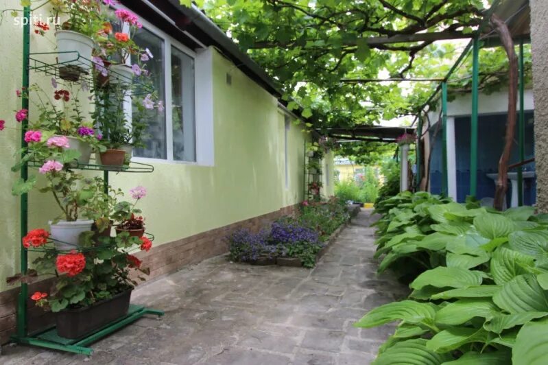 Судак снять жилье частный. Улиц гора фирейнаягород судак. Дачное судак улица зеленая 50. Судак крым жилье у моря. Судак таврическая улица гостевые дома.