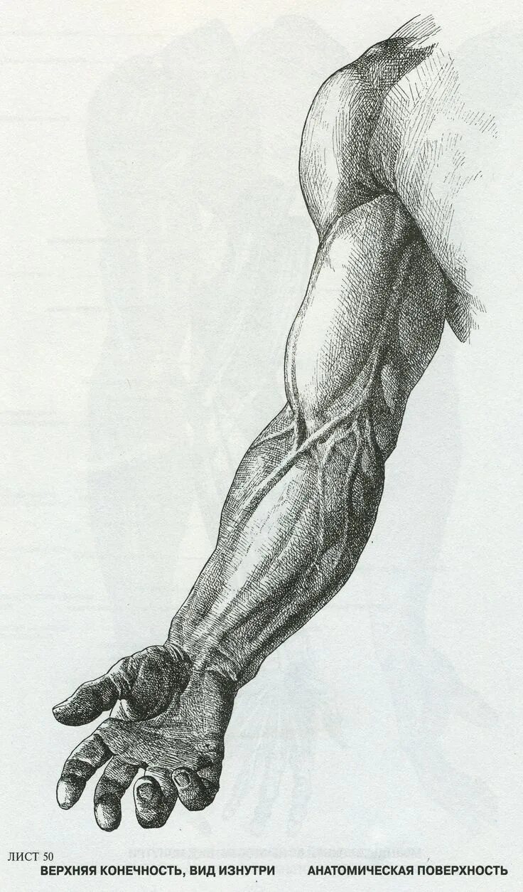 Согнутая рука. Объятия зарисовка. Обнимают предплечья рисунки. Обнимают предплечья рисунки. Влюбленные карандашом.