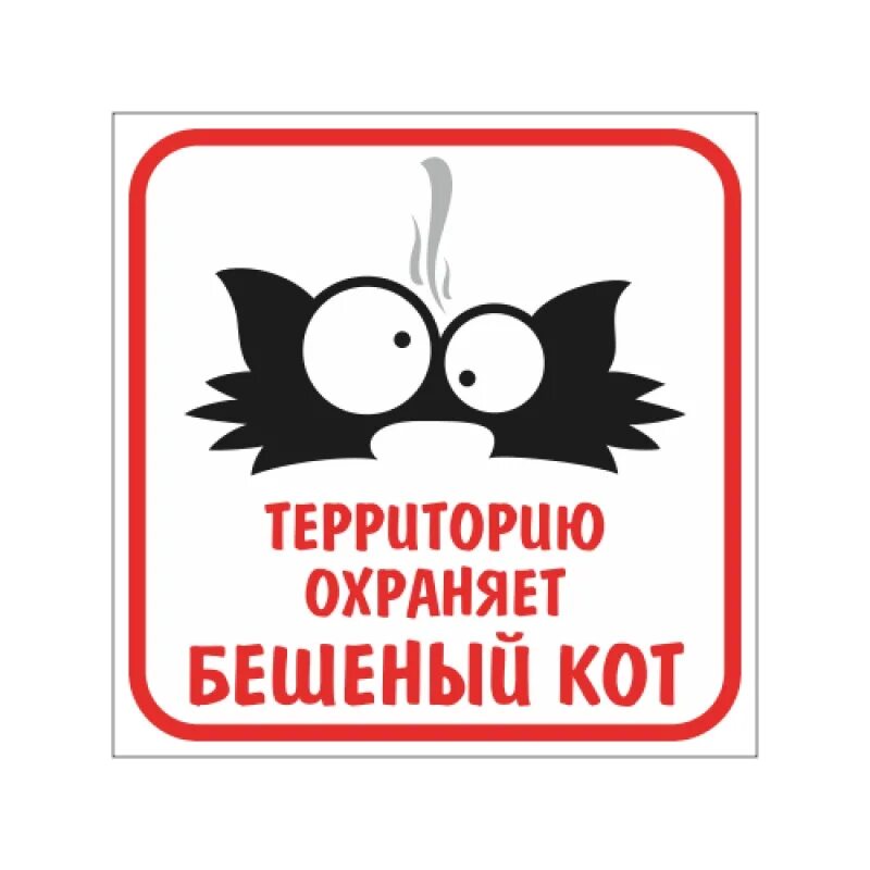 Как охраняют кошек