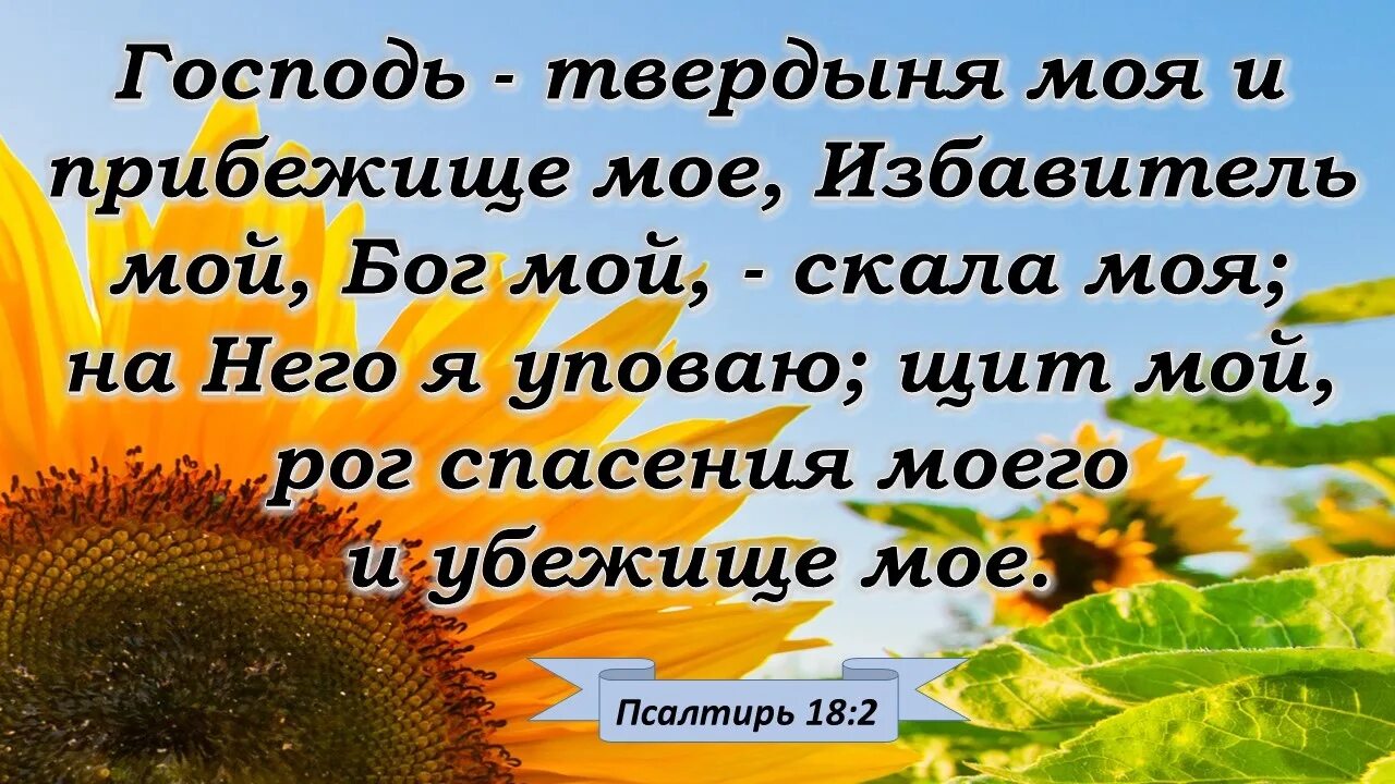 Бывшие спаси моего сына читать. На Бога уповаем. Господь твердыня моя и прибежище мое Избавитель мой Бог мой скала моя. Упование на Господа. Бог прибежище и сила.