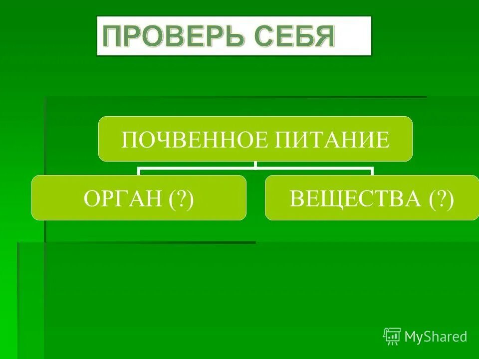 Тест почвенное питание