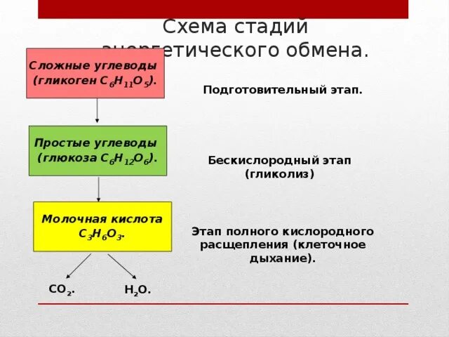 Подготовительный этап энергетического обмена схема. Бескислородный этап энергетического обмена схема. Кислородный этап гликолиза. Схема бескислородного этапа энергетического обмена. Подготовительный этап бескислородный этап