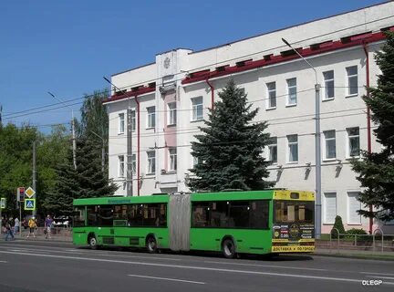 Регион могилев