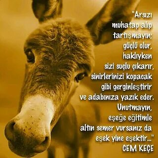 Çok yazık