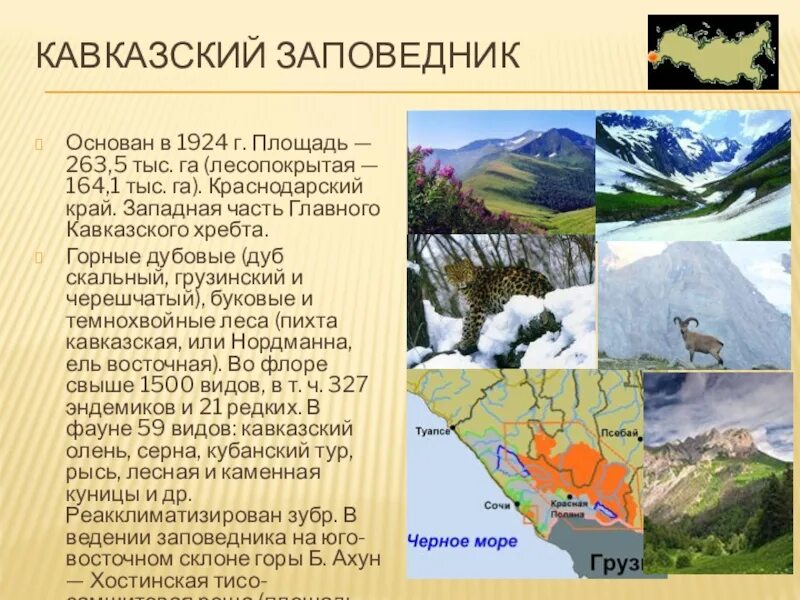 Кавказ расположен в природных зонах. Проект заповедник. Заповедники России презентация. Сведения о заповедниках России. Сообщение о заповеднике.