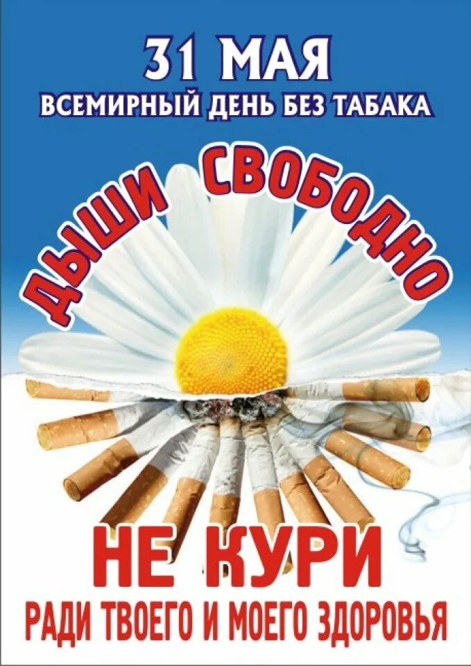 31 мая 73. 31 мая всемирный день без табака. все мирныц ень без табка. всемирный день без таба. акция всемирный день без табака.