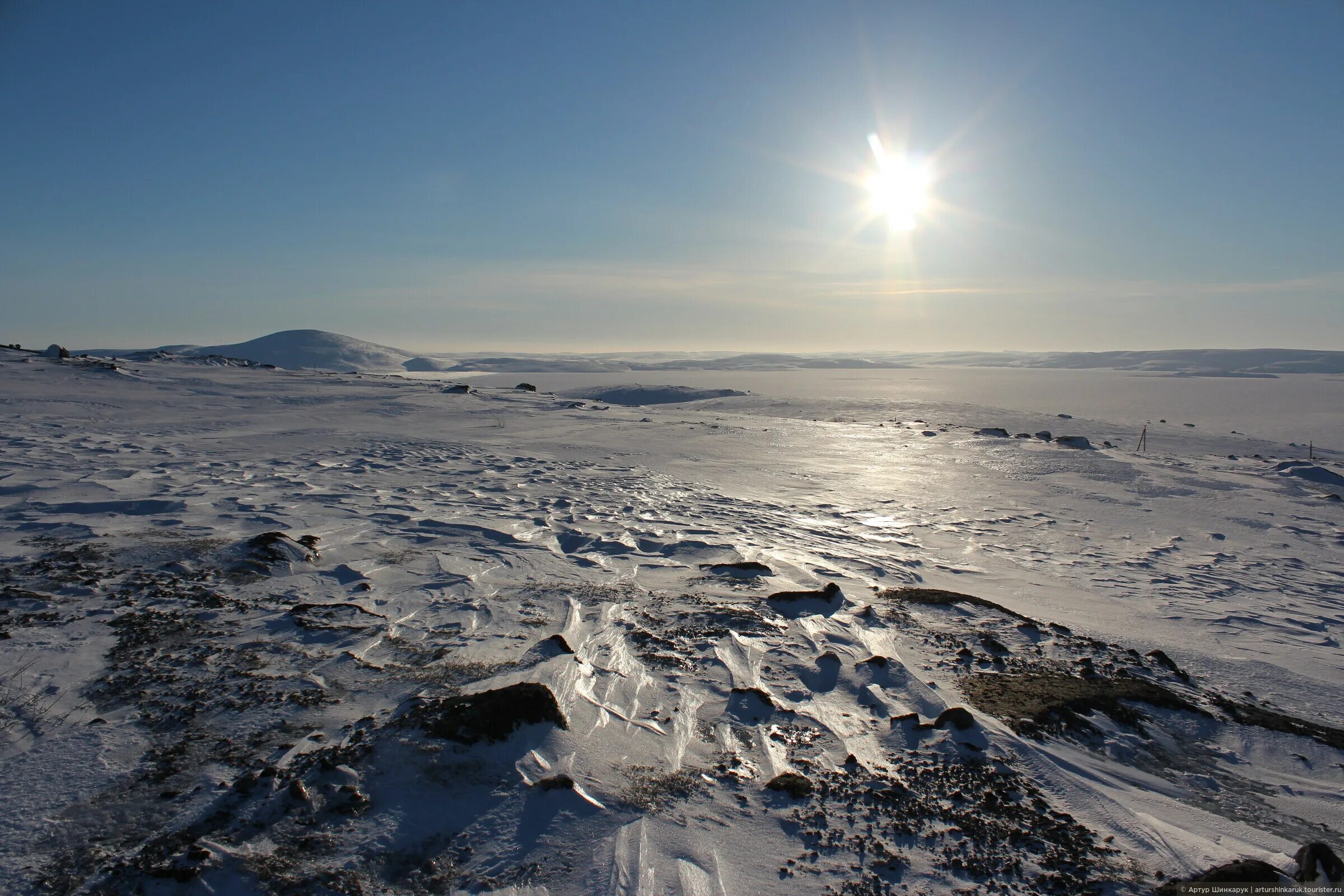 просторы тундры. природа воркуты тундра пушица. лето в тундре. фото из 90х община канин про оленей. чукотский автономный округ тундра.