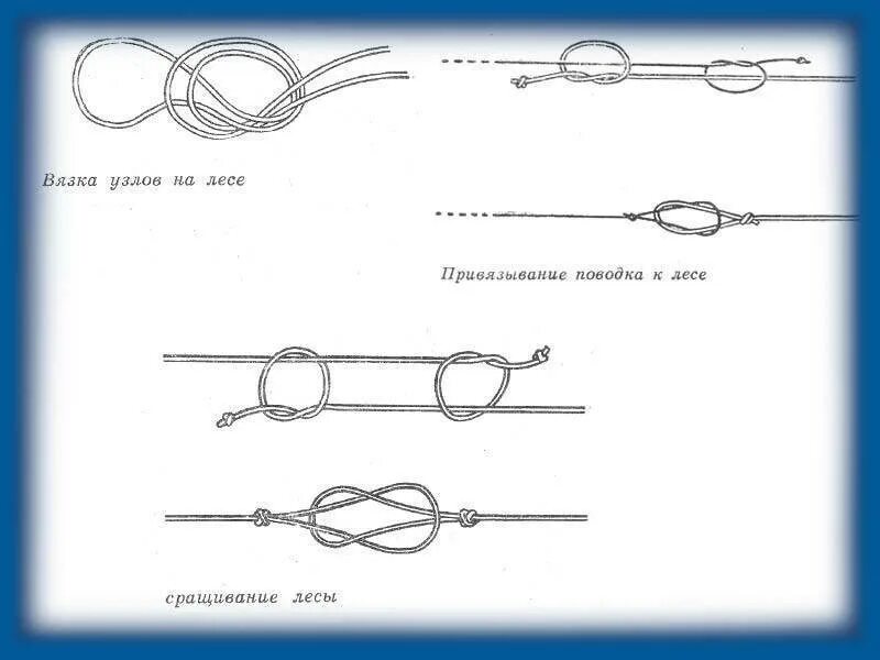 Привязка поводков. Узел для привязывания поводка к основной леске. Узлы для привязывания поводков к основной леске. Рыболовные узлы для привязывания поводков к основной леске. Как вязать поводки на основную.